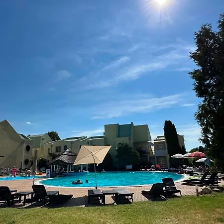 Romi Pool & Garden شيوفوك